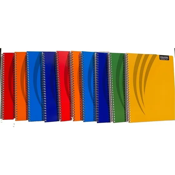 Pack 10 Cuadernos Universitario Proarte 100hj Cuadro 7mm Color Surtido