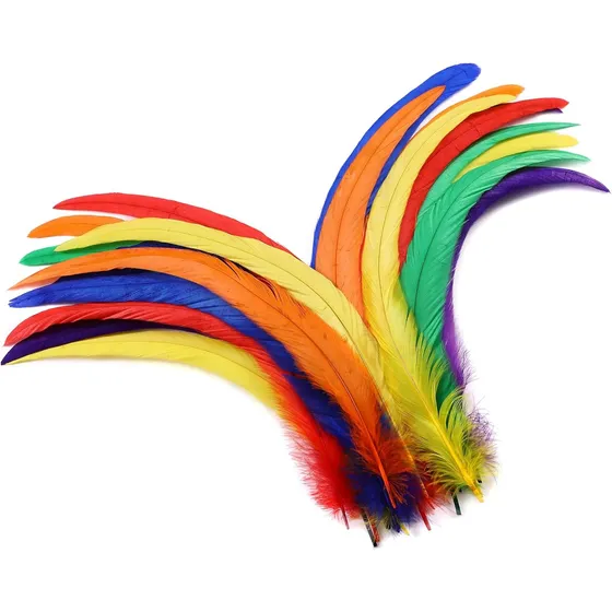 Plumas De Gallo Naturales En Negro Con 30 Plumas 25-30cm