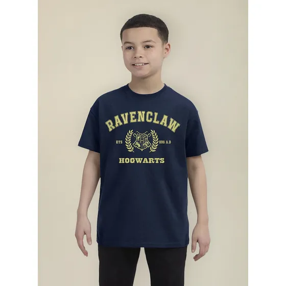 Camiseta Remera Harry Potter Ravenclaw Gryffindor Hufflepuff