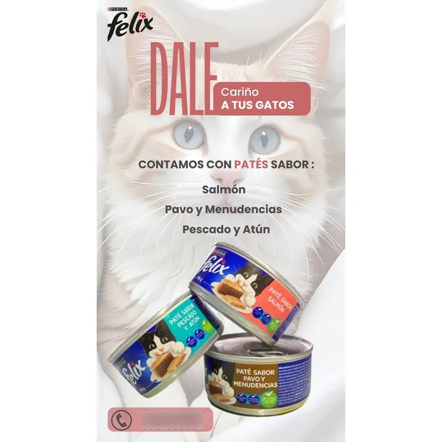 Comida Humeda Gato- Purina Felix