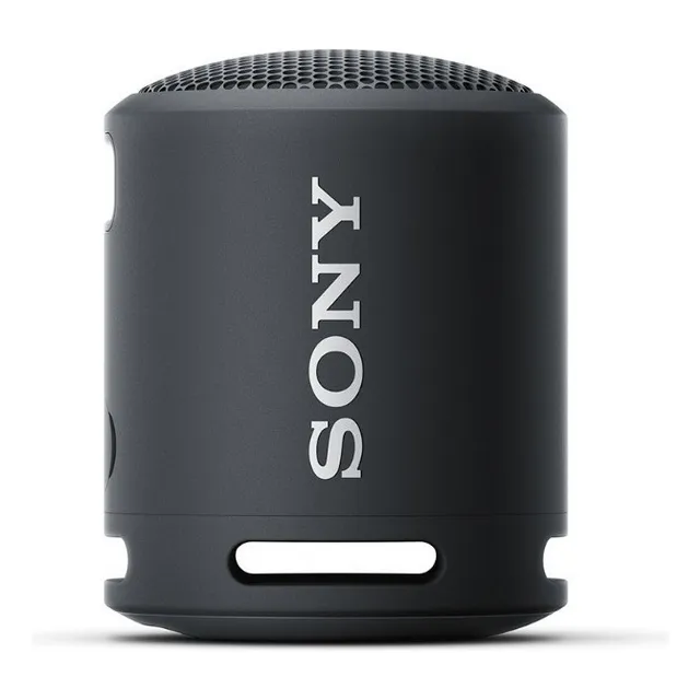 Parlante Sony Extra Bass XB13 SRS-XB13 portátil con bluetooth waterproof negro 220V