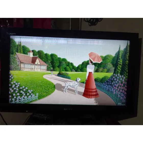 Tv Sony Bravia 32  Detalle De Pantalla
