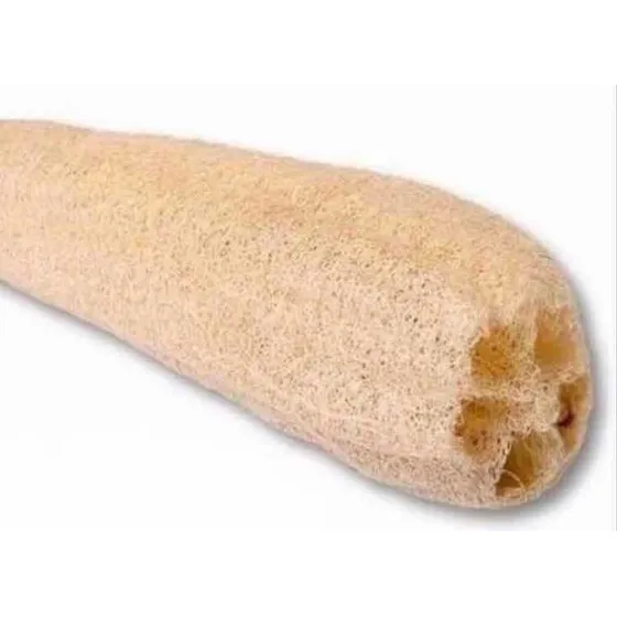 Semillas Esponja Vegetal Natural Orgánicas Luffa X 10