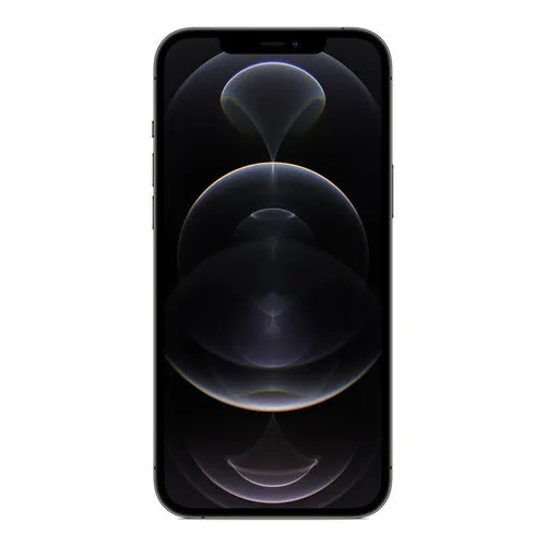 Apple iPhone 12 Pro Max (256 GB) - Grafite