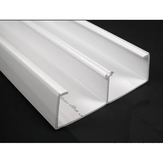 Canaleta Larga Con 2 Divisiones. 113 X 63 X 2.44m. Wiremold