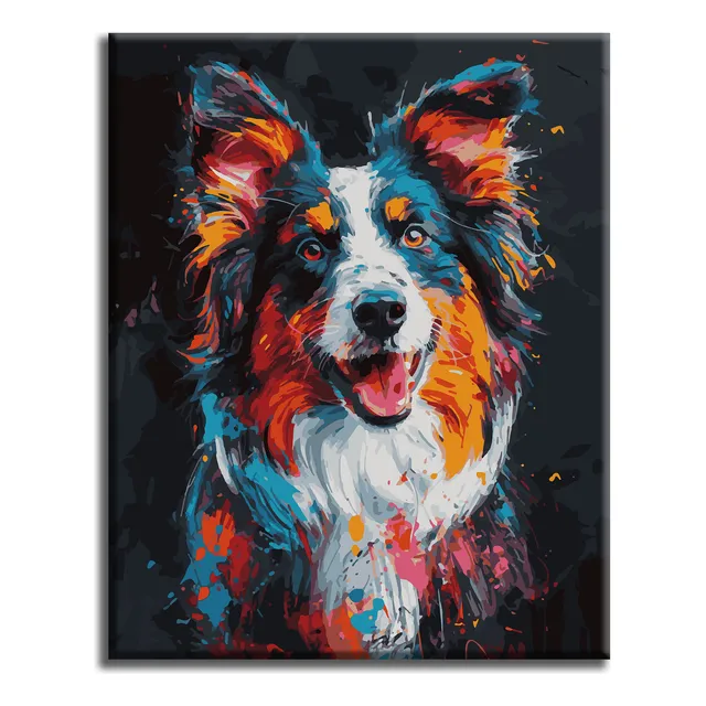 Pinta Por Números Calidad Premium. Border Collie. Kitart