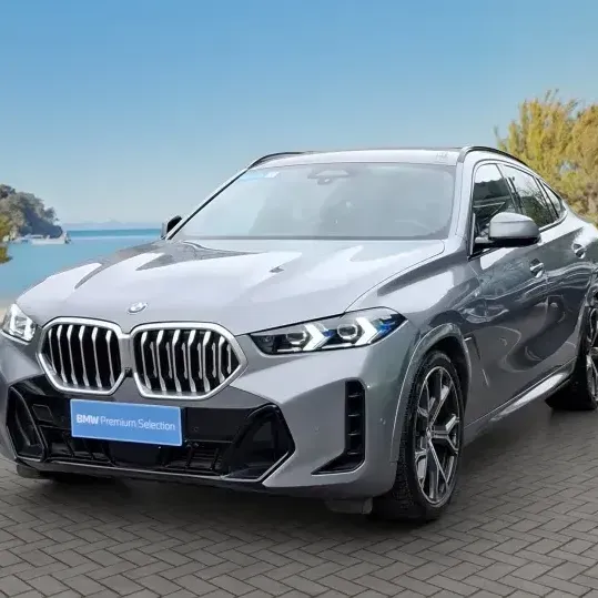 BMW X6 2024 Xdrive 30d M Sport 4x4 3.0 Aut 2024 en Lo Barnechea - RM (Metropolitana) usado