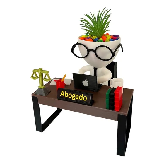 Matera Decorativa Abogado Oficina Hogar Con Suculenta Regalo