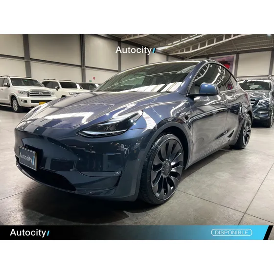 Tesla Model Y Performance