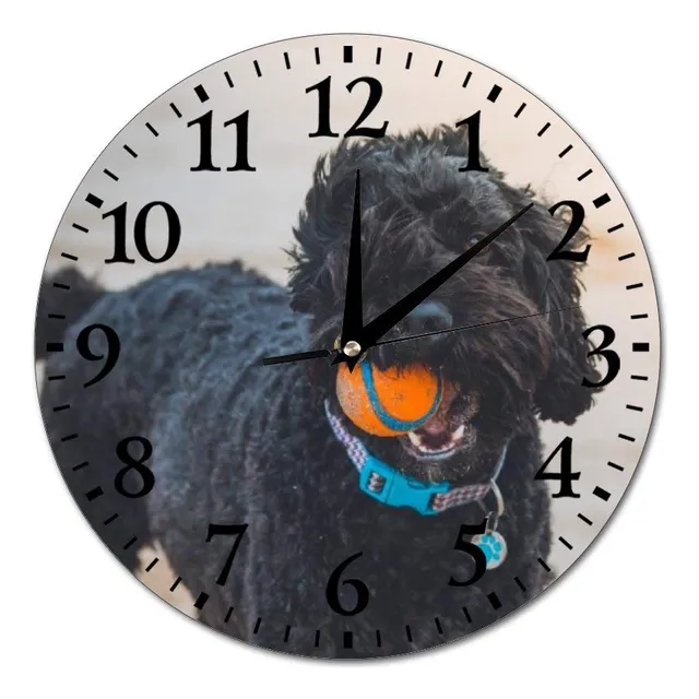 Reloj Pared Cristal Redondo Caniche Negro Bola Naranja Para