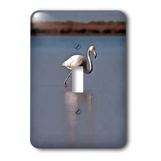 Pierna Larguirucha Arte Flamenco Lago Cubierta Luz