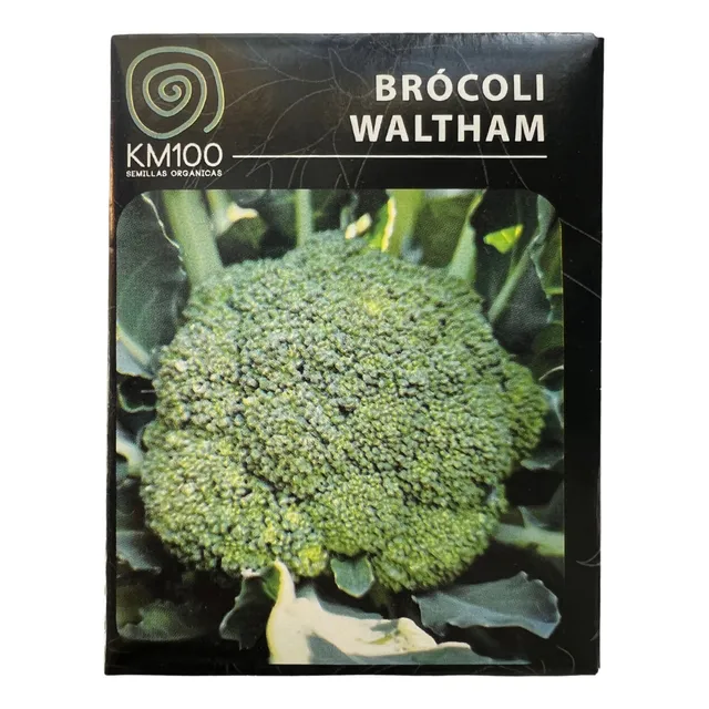Km 100 Semillas Brócoli Waltham 100% Orgánicas