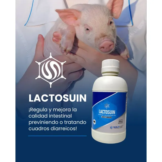 Antidiarreico Cerdos