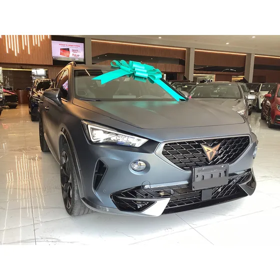 Cupra Formentor 2.0 Vz 310hp 4wd Dsg7