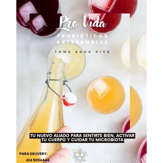 Probióticos, Miel, Kéfir, Kombucha