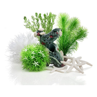 Set De Decoración De Biorb Jardín De Flores De 15l Set De Decoración De Biorb Jardín De Flores De 15l