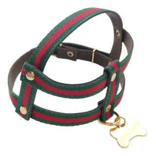 Coleira Peitoral Linha Luxo Green Ribbon Fita Com Couro Coleira Peitoral Linha Luxo Green Ribbon Fita Com Couro