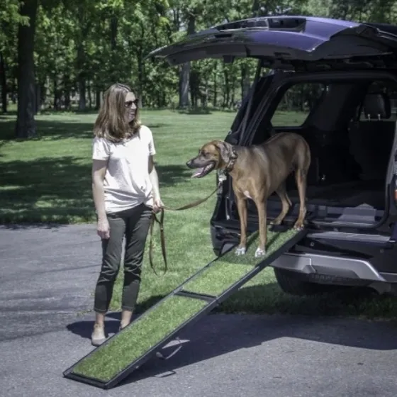 Petmate Rampa Perros Carro 183x40 Cms Plegable 