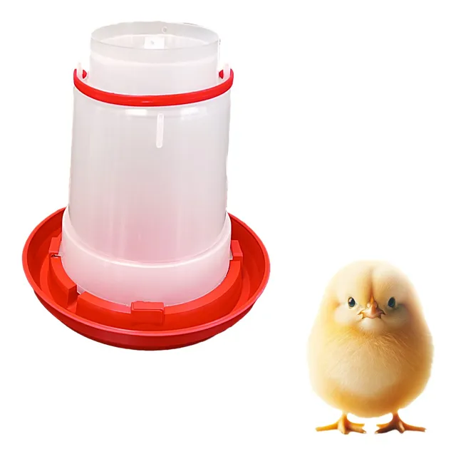 Bebedero 3 Litros Para Pollos,gallinas,pisco,ave - Healplast