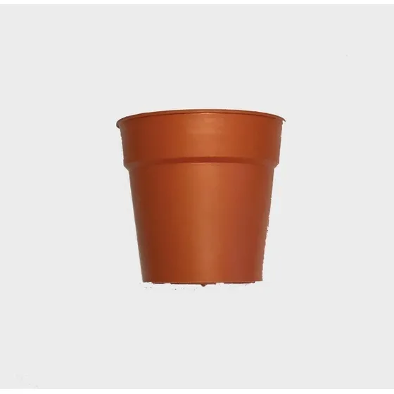 Macetas Tunas Suculentas Cactus X 50 Unid. 7 Cm Boca Oferta!