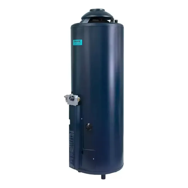 Termotanque Eskabe Acquapiu  H1100  1100 Lts/h