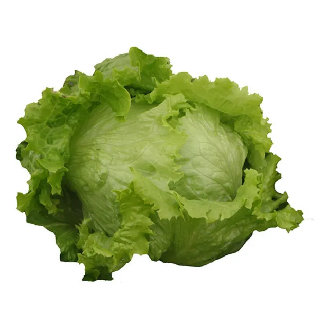 Semillas Huerto Premium: Lechuga Carola