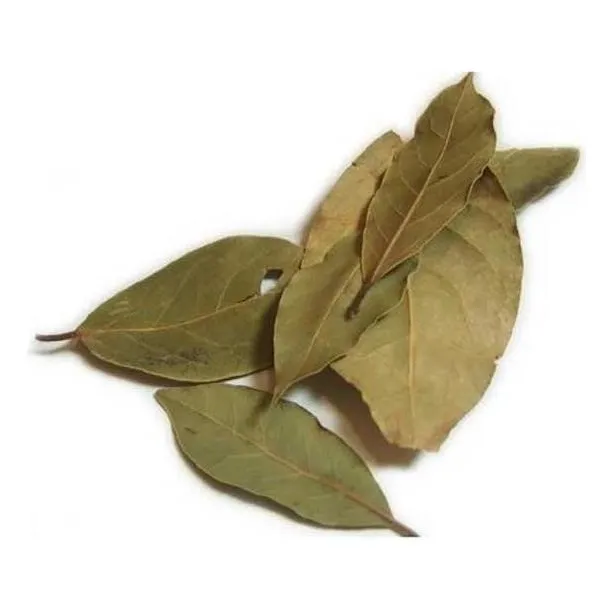 Folhas De Louro (granel 100g)