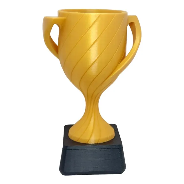 Copa Trofeo Entrega De Premios 