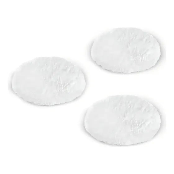 Cepillos De Repuesto Fp303 Lustradora Padsx3 Parqué Oy Color Blanco 2.863.-196.0