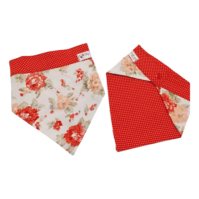 Kit Bandana E Boné Para Pet - Numero 03