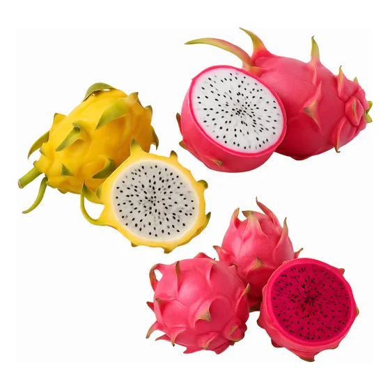 6 Mudas De Pitaya 2 Branca 2 Vermelha 2 Amarela Autofértil