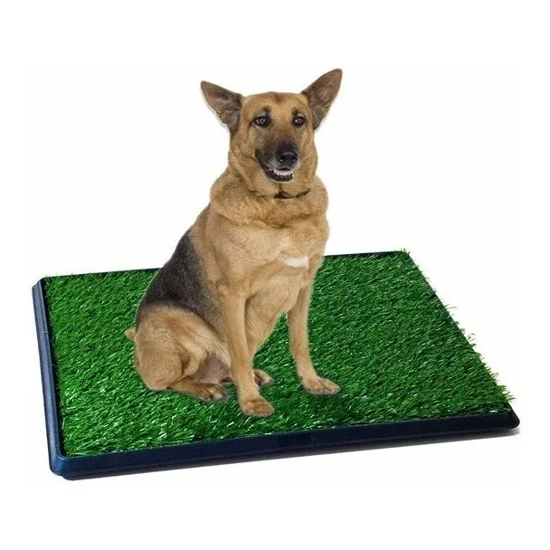 Tapete Grande Entrenamiento Perro Baño,pasto !