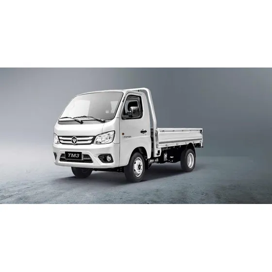 Foton Tm1 Cabina Simple C Caja