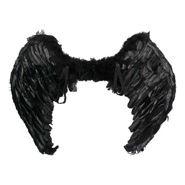 Ala De Pluma Negra