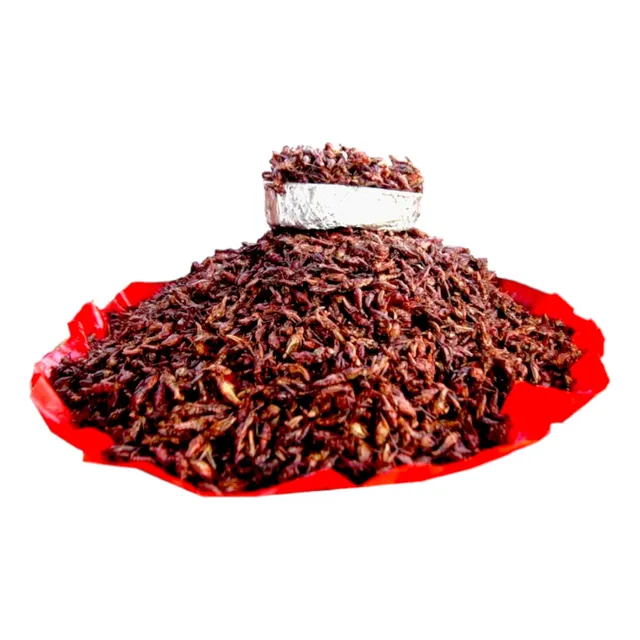 Chapulines Oaxaca Sabor Natural 1 Kg