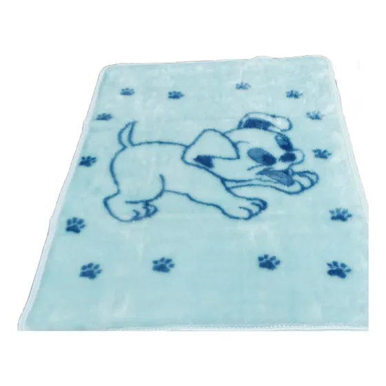 Frazada Para Bebe Pippo En Caja 90x110cm Ted Celeste