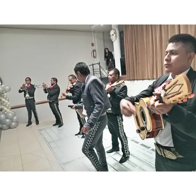 Mariachi Económico Zona Sur Cdmx 