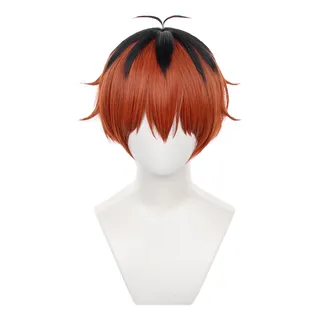 C-zofek Stark - Peluca De Cosplay Con Flequillo Para Fiesta. C-zofek Stark - Peluca De Cosplay Con Flequillo Para Fiesta.