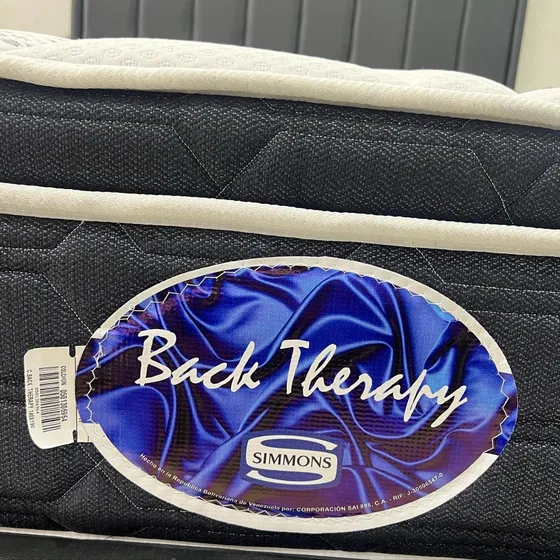 Colchon Simmons Back Therapy Ortopedico Matrimonial Pillow