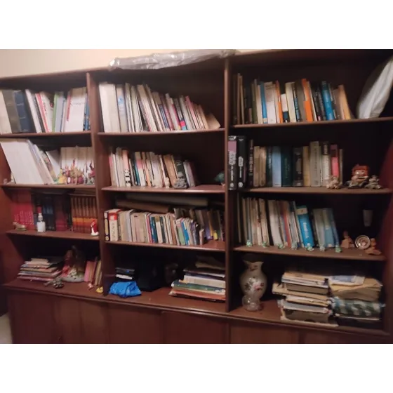 Biblioteca De Madera Caoba 2,50x2,18x0,37 Mt.