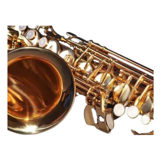 1550 Playbacks+1550 Partituras +6000 Partitur Sax E Apostila
