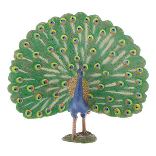 Para .. Juguetes Educativos Infantiles Pavo Real Pl127-1434 Para .. Juguetes Educativos Infantiles Pavo Real Pl127-1434