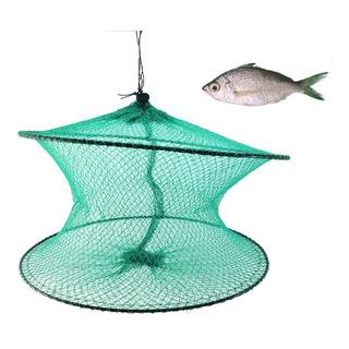 Trampa Pesca Red Malla Peces Cangrejos Camaron Navajas Cebo Trampa Pesca Red Malla Peces Cangrejos Camaron Navajas Cebo