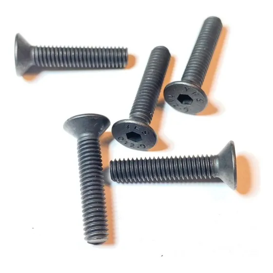 Set 5 Pernos Parker M4x16mm (rosca Métrica) Cabeza Plana