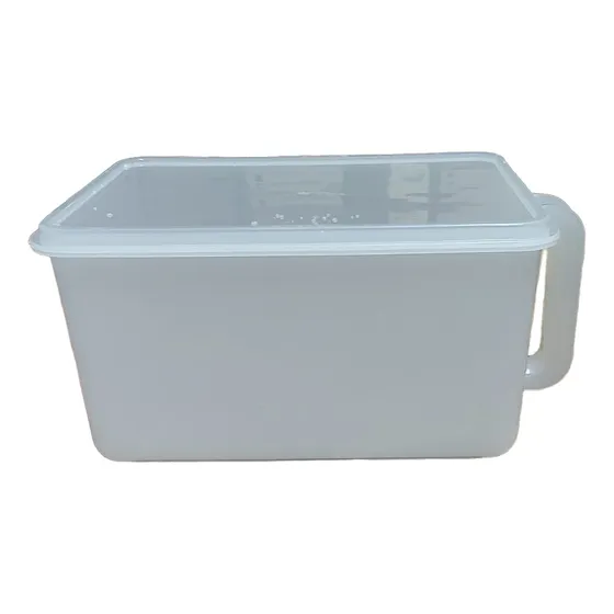 Recipiente Organizador Heladera Con Tapa Multiuso31x19x15cm Traaslucido