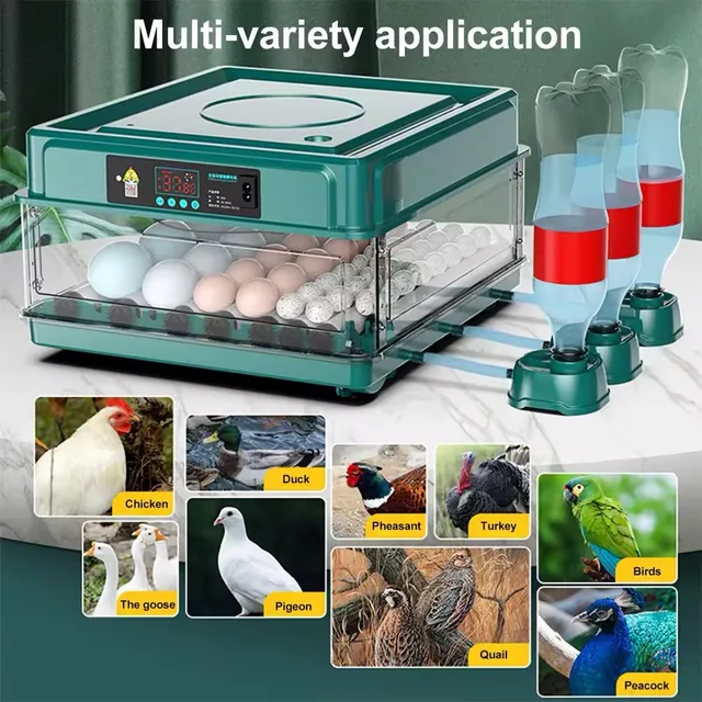 Incubadora Avicola Automatica 30 Huevos 110v/12v