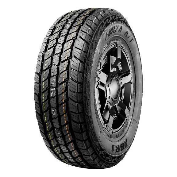 245/65 R17 Xbri Forza At