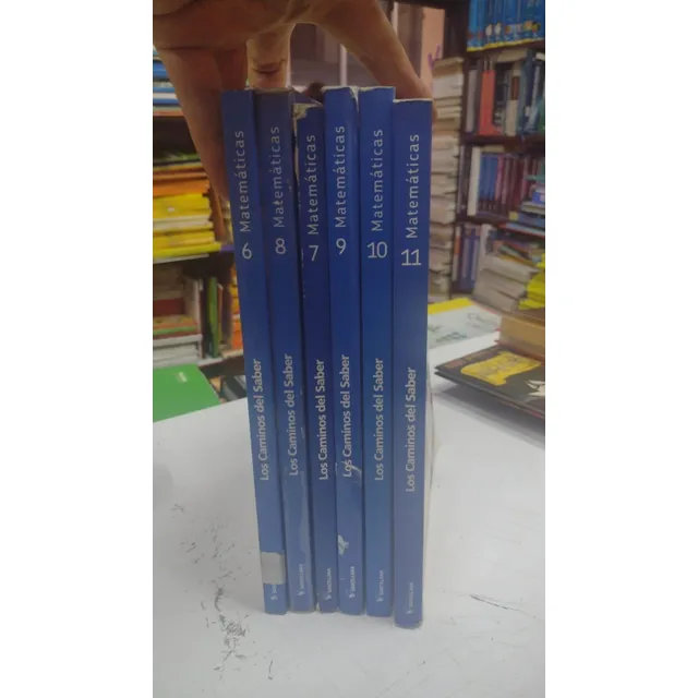 Caminos Del Saber Matemáticas 6 7 8 9 10 Y 11