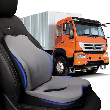 Cojin Lumbar Ergonomico Y Asiento Para Sillas Soporte Lumbar