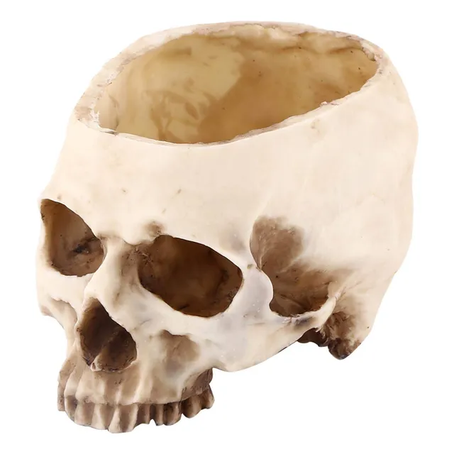 Maceta Forma Calavera Humana Para Decoracion Escritorio Casa